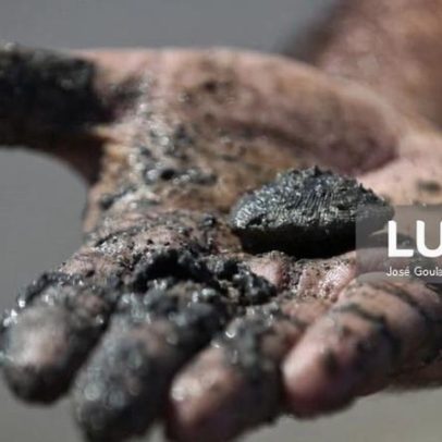 Oito embarcações apreendidas em operação contra apanha ilegal de ameijoa no Tejo