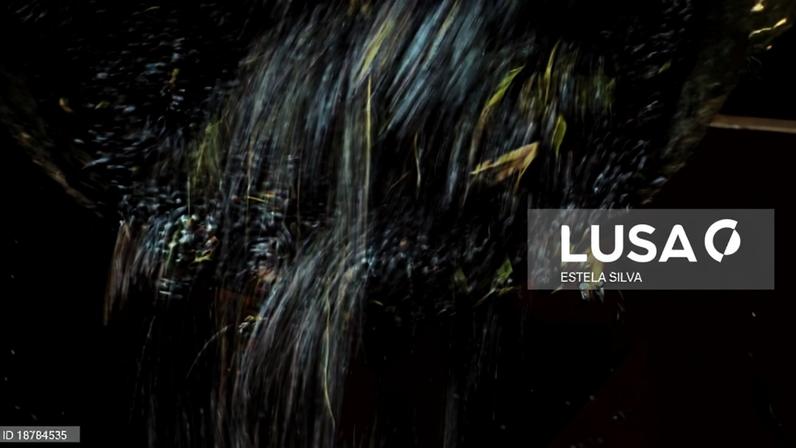 ASAE apreende mais de 39 mil litros de vinho no Norte e no Centro