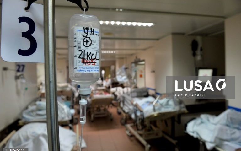 Plataforma Saúde em Diálogo alerta para fragilidade no SNS e pede registo único