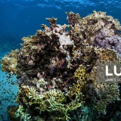 Lusófonos assinam Convenção para proteger o ambiente marinho do Atlântico Sul