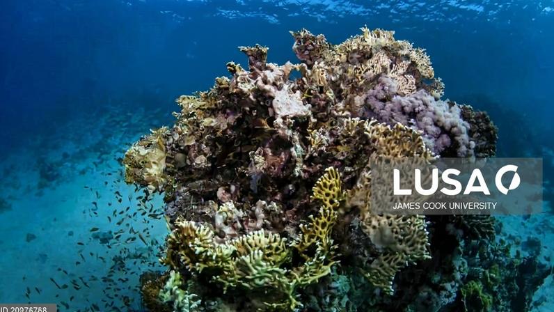 Lusófonos assinam Convenção para a Proteção do Ambiente Marinho no Atlântico Sul