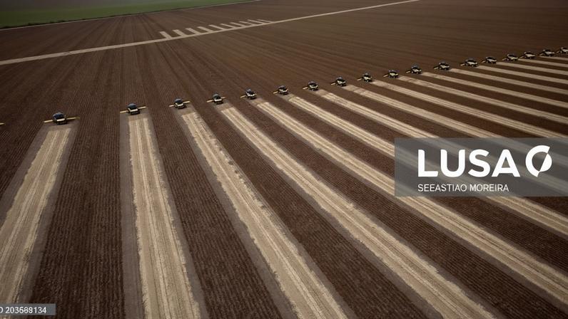 Brasil prevê colheita recorde de grãos de 348,4 milhões de toneladas este ano