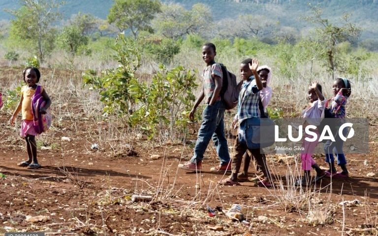 Mais de 10 mil turmas estudam ao ar livre em Moçambique - Governo