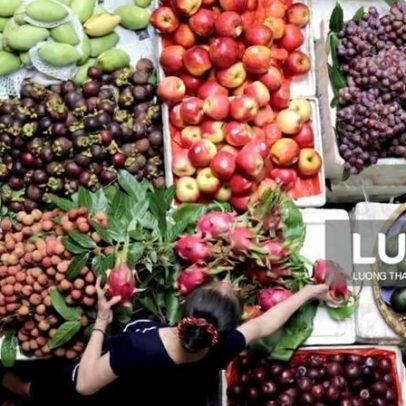 Cabaz alimentar atinge novo máximo de 254,99 euros, segundo Deco Proteste