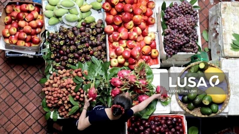 Cabaz alimentar atinge novo máximo de 254,99 euros, segundo Deco Proteste