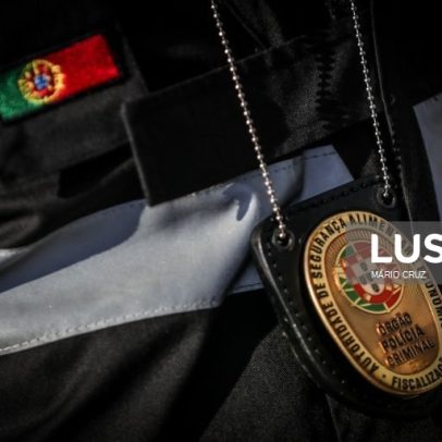 ASAE desmantela dois matadouros ilegais e apreende 2,2 t de carne