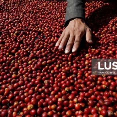 Preço do café sobe 2,3% em março após três meses de queda