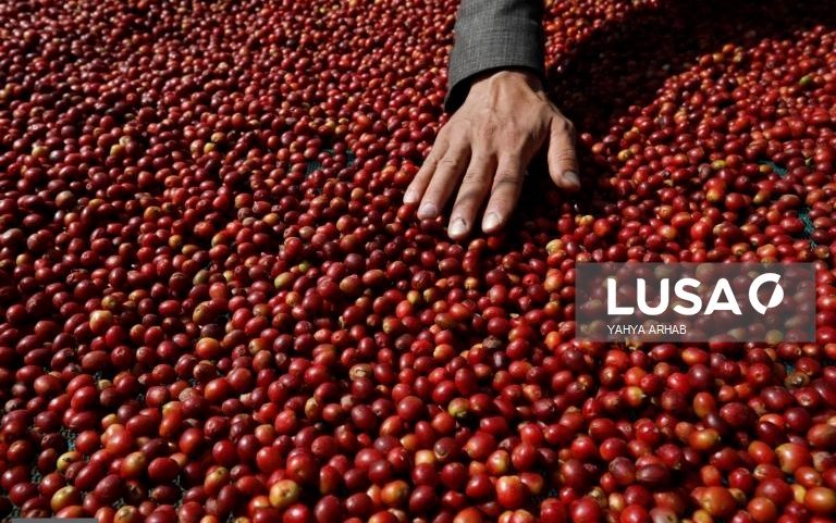 Preço do café sobe 2,3% em março após três meses de queda