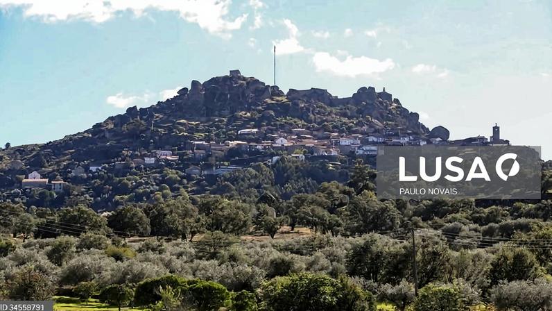 Concelhos de Tavira e Idanha-a-Nova em risco muito elevado de incêndio