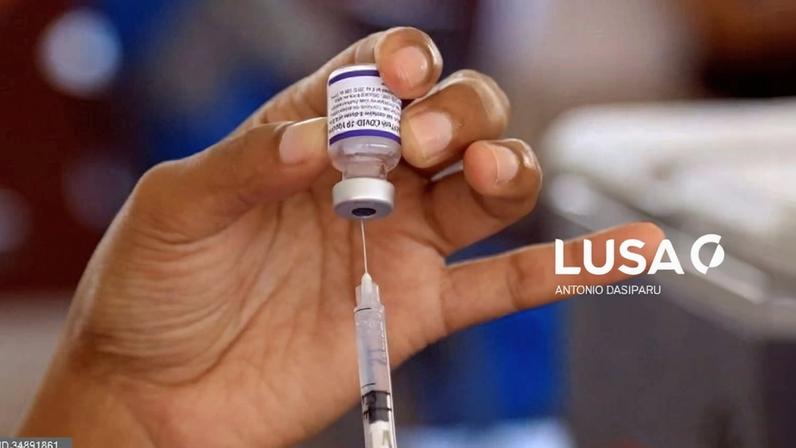 Timor-Leste vacinou mais de 84 mil animais contra a raiva