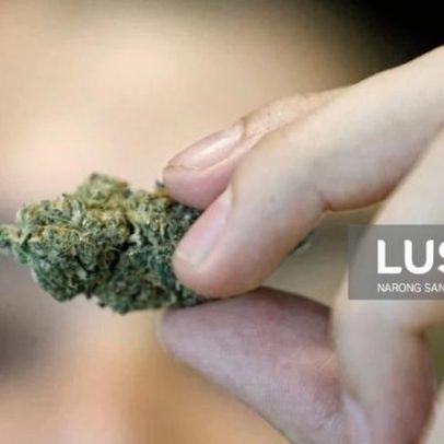 Português detido em Singapura com 36 kg de canábis