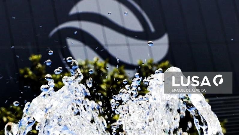 EPAL regista lucro recorde de 66,1 milhões de euros em 2025