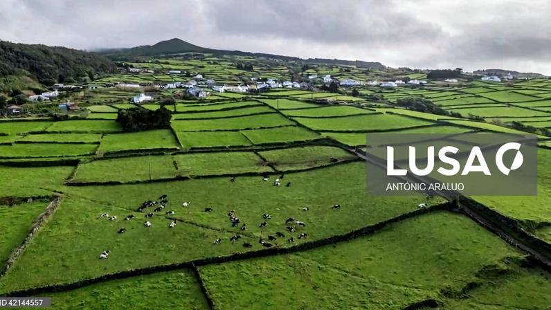 Sismo de magnitude 3,4 na ilha Terceira foi sentido