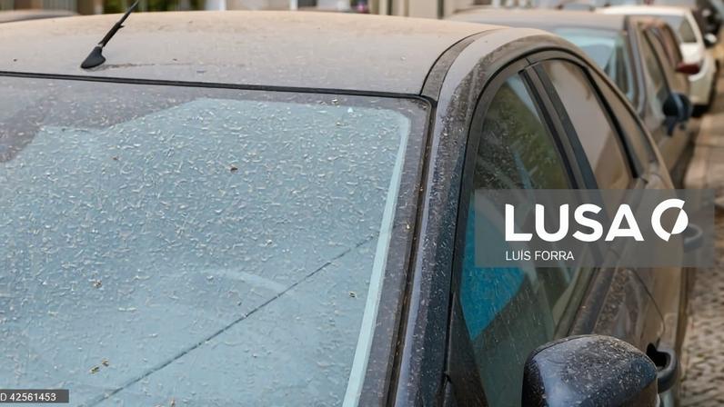 Portugal continental com má qualidade do ar até quinta-feira, indica DGS