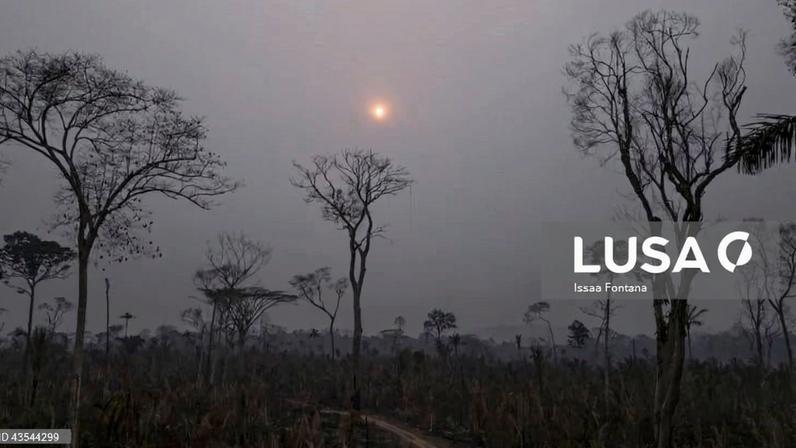 Incêndios na Amazónia brasileira sobem 13,2% em março