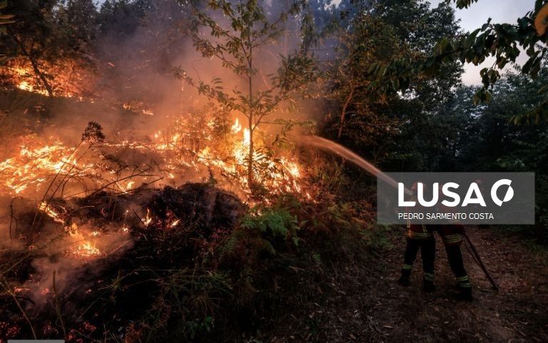 Mais de 100 operacionais combatem incêndio na Serra do Caramulo