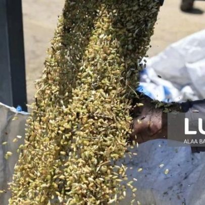 Banco Mundial alerta para risco de insegurança alimentar devido à guerra