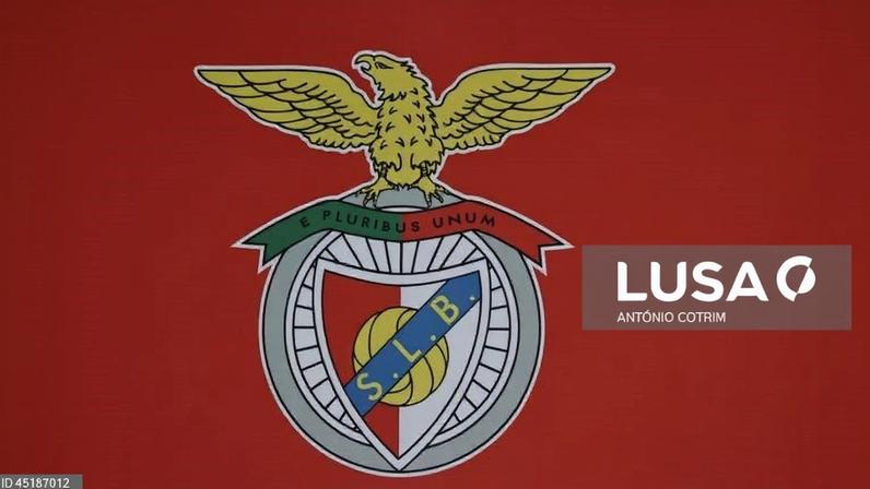 Benfica com lucro de 29 ME nas contas do clube no primeiro semestre de 2025/26