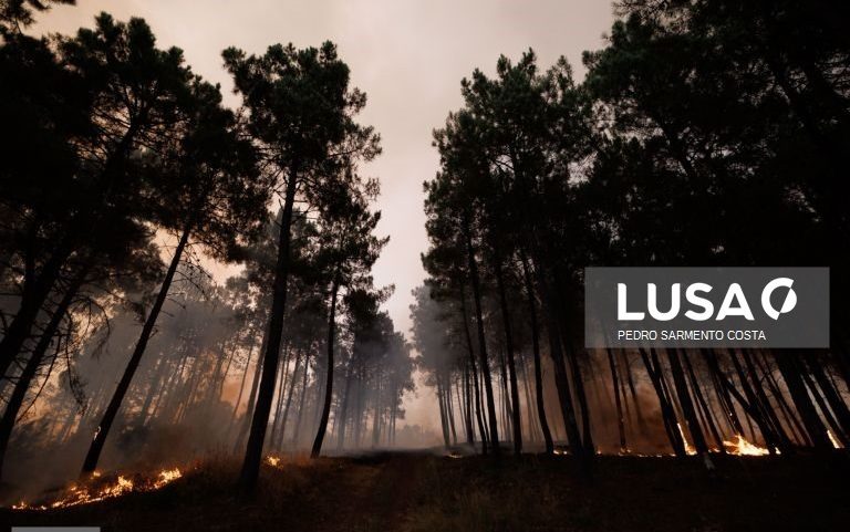 Comando Integrado de Prevenção e Operações vai ser apresentado hoje
