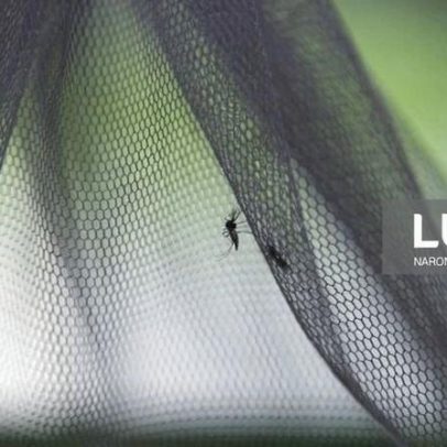 Malária ceifa quase 500 vidas em Moçambique em 2025