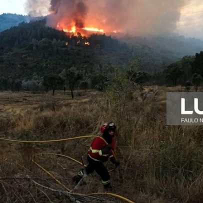 Satélites monitorizam florestas da Região de Coimbra para evitar fogos