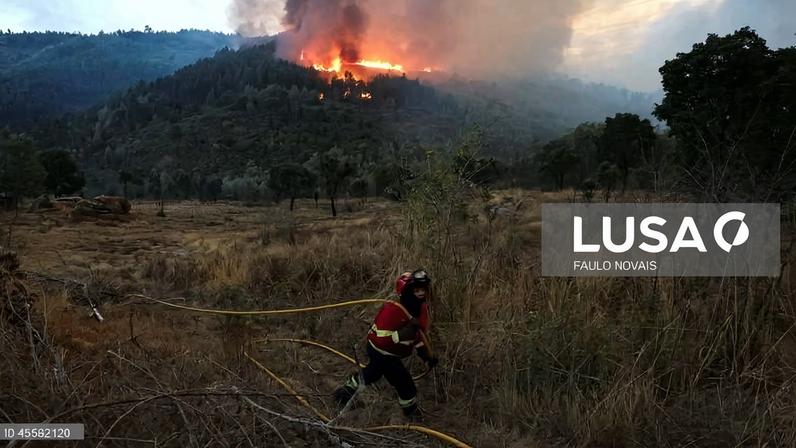 Satélites vigiam florestas da Região de Coimbra para evitar fogos