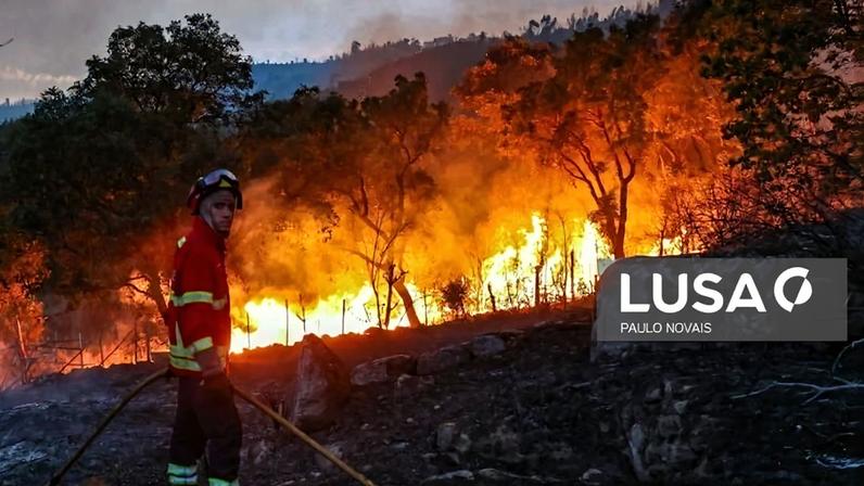 Região de Coimbra denuncia atrasos nos pagamentos de apoios dos incêndios de 2025