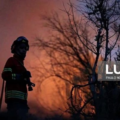 Incêndio em Vale de Cambra entra em fase de rescaldo