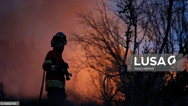 Incêndio em Vale de Cambra entra em fase de rescaldo
