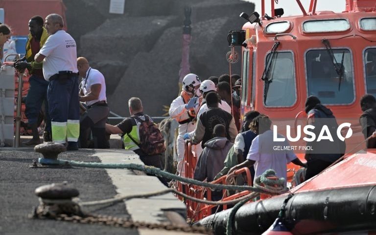 Cerca de 7.900 migrantes morreram ou desapareceram no ano passado