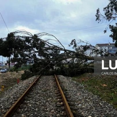 Comissão de Defesa da Linha do Oeste contesta falta de reparações após tempestades