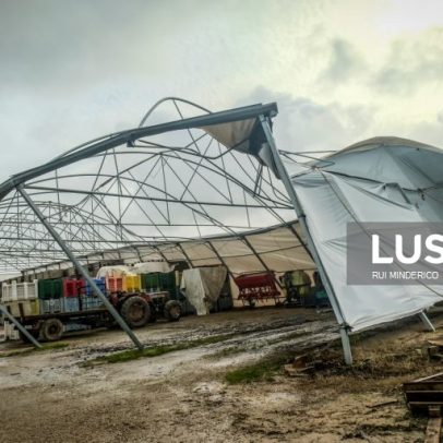 Apoios às explorações agrícolas alargados a todas as áreas com prejuízos