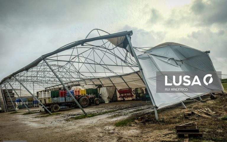 Apoios às explorações agrícolas alargados a todas as áreas com prejuízos relevantes