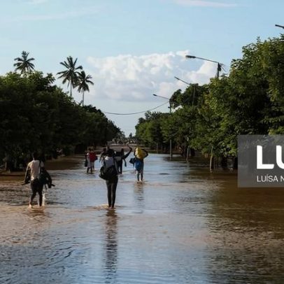 Distrito moçambicano precisa de 23 mil toneladas de sementes após cheias