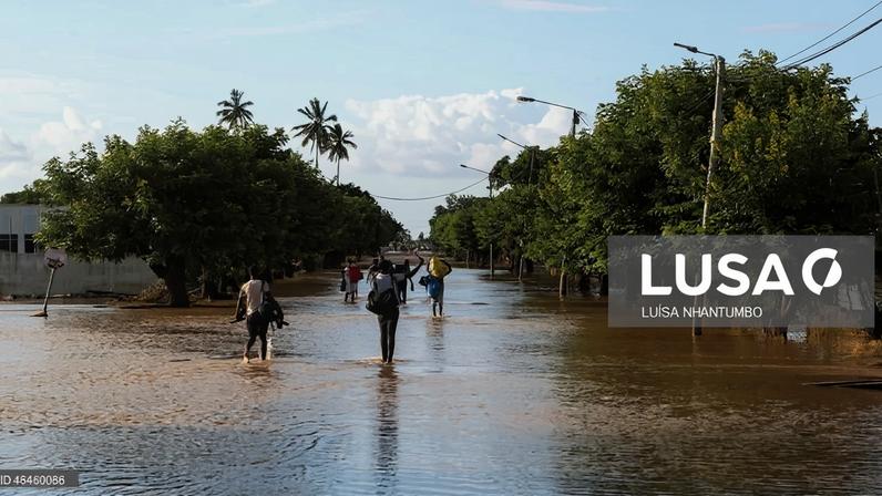 Distrito moçambicano precisa de 23 mil toneladas de sementes após cheias