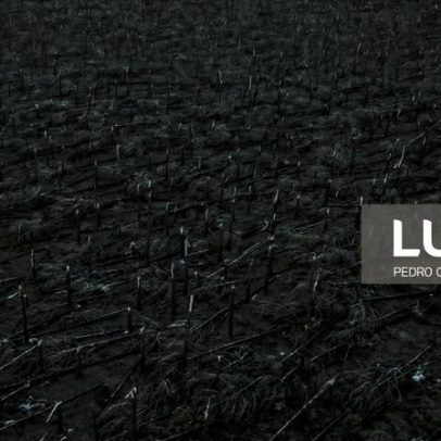 Árvores caídas podem ficar até ao fim de junho, alerta Região de Leiria