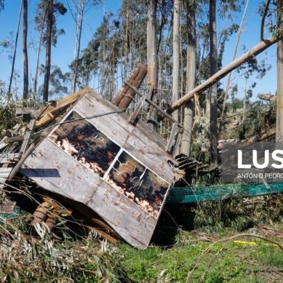 UE defende seguro comum para catástrofes naturais