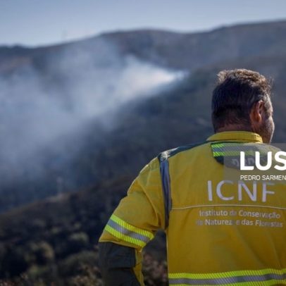 ICNF atualiza limites de 6 áreas protegidas e abre consulta pública sexta-feira