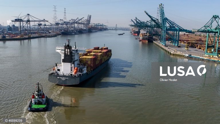 Tráfego marítimo paralisado no porto de Antuérpia devido a derrame de petróleo