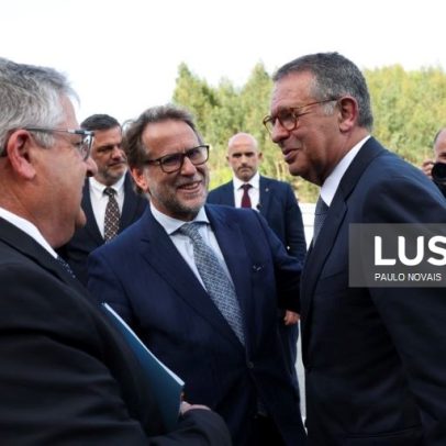 MAI diz que limpeza de caminhos florestais exige esforço de todos