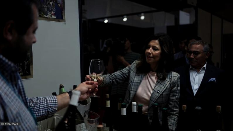 IL pede ao executivo o “mesmo esforço e empenho” na governação que dedica à propaganda