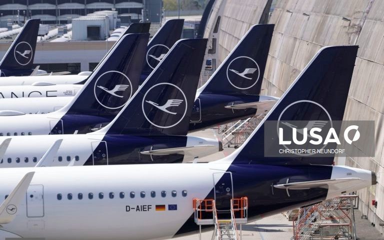 Lufthansa promete proposta sólida, atrativa e competitiva pela TAP