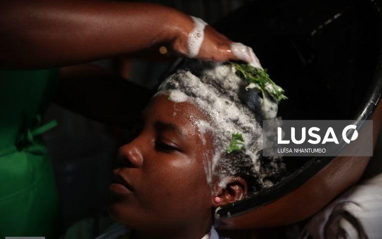 Planta-champô moçambicana combate caspa, piolhos e recupera memórias de avó