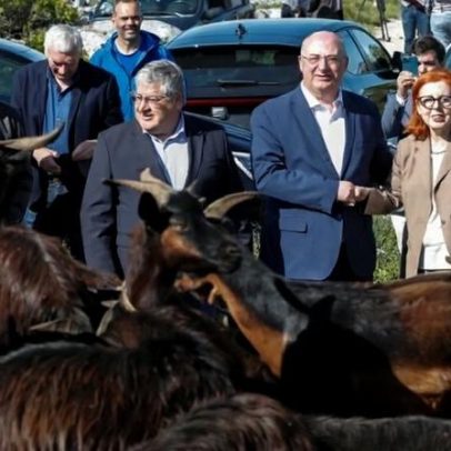 Governo investe 30 milhões/ano para apoiar pastores e reduzir incêndios