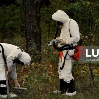 Vida selvagem substitui presença humana em Chernobyl 40 anos depois