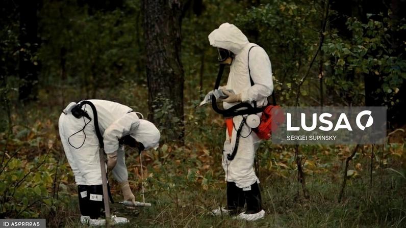 Vida selvagem substitui presença humana em Chernobyl 40 anos depois