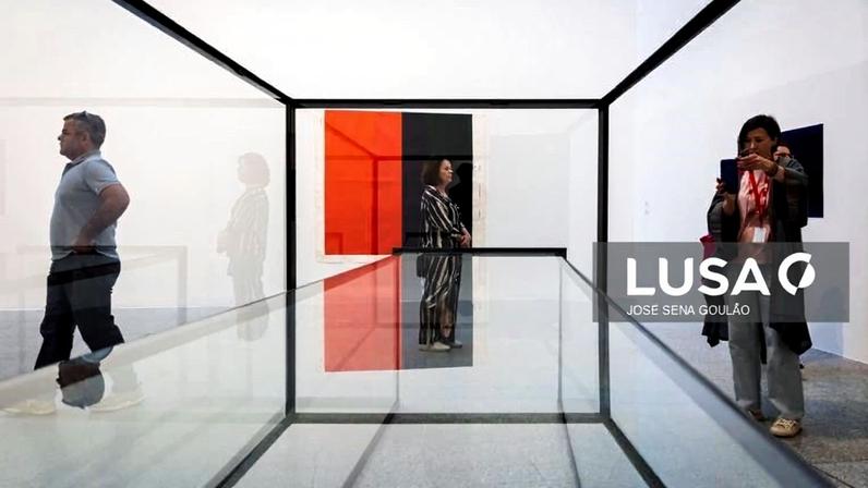 Exposição de José Pedro Croft no MAC/CCB abre porta para 25 anos de trabalho do artista