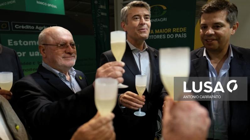 Líder do PS afirma riscos para apoios diretos à viticultura no próximo mandato