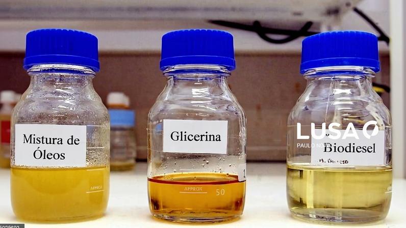 Ambientalistas pedem recolha de óleos alimentares para substituir combustíveis