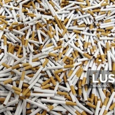 Tabaco exportado por Moçambique soma quase 225 milhões de euros num ano